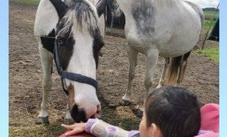 Ein Kind sitz im Rollstuhl, vor ihm steht ein Pferd, dass neugierig an der Hand des Kindes schnuppert.