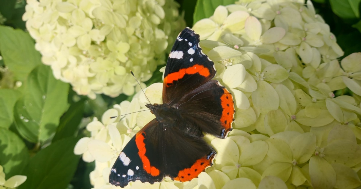 Warum haben wir Angst vor dem Tod? • Hospizverein Schwerin